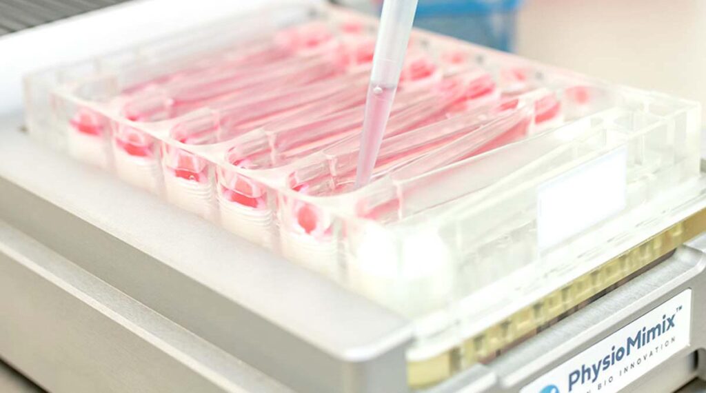 milti chip plates | In vitro hepatotoxicity services