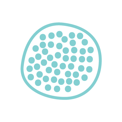 cnb icons cells | Gut/Liver on a chip